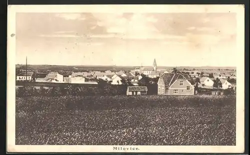 AK Milowitz / Milovice, Panorama