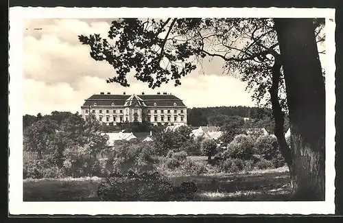 AK Napajedl, Blick zum Schloss