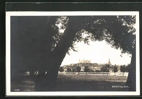 AK Bratislava, Panoráma