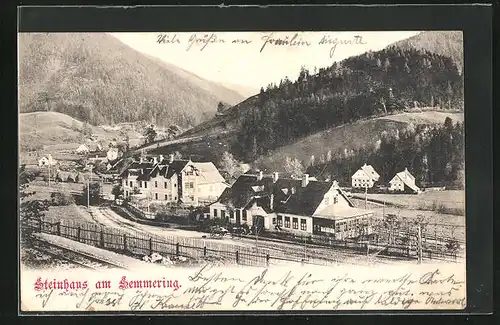 AK Steinhaus am Semmering, Gesamtansicht