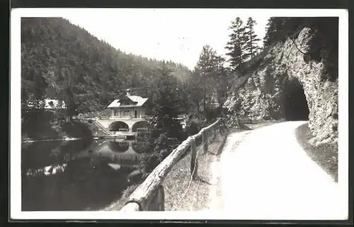 AK Mariazell, Walsterpartie mit Hubertus-See