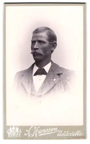 Fotografie A. Hansson, Uddersalla, Portrait stattlicher Herr mit Schnurrbart im Jackett
