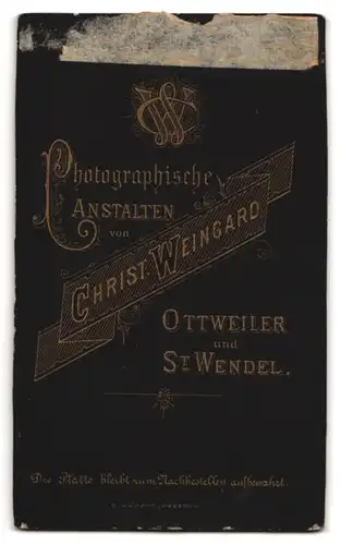 Fotografie Christ. Weingard, Ottweiler, Portrait Dame im gestreiften Biedermeierkleid mit Brosche und Dutt