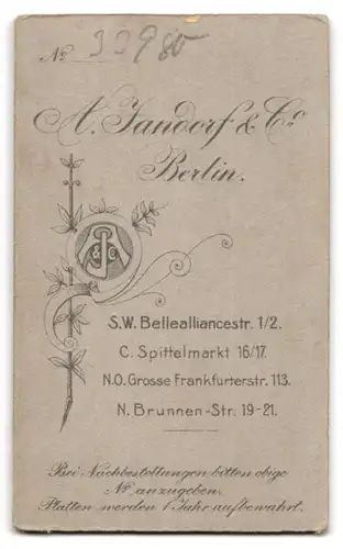 Fotografie A. Jandorf & Co., Berlin-SW, Bellealliancestrasse 1-2, Portrait elegante Dame mit Blumen