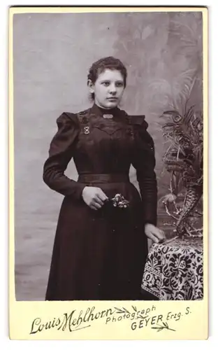 Fotografie Louis Mehlhorn, Geyer i. Erzg., Portrait junge Dame im Kleid