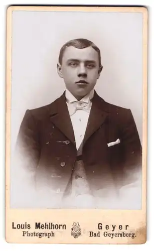 Fotografie Louis Mehlhorn, Geyer, Portrait junger Herr im Anzug mit Fliege