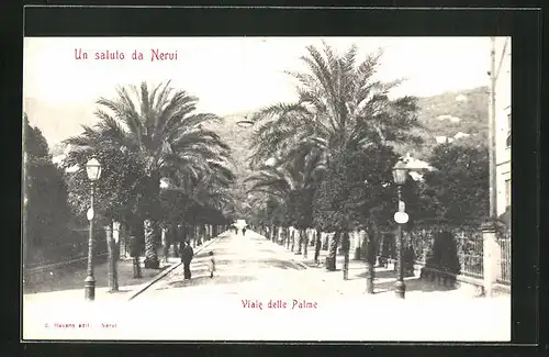 AK Nervi, Viale delle Palme