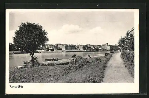 AK Riesa /Elbe, Elbpromenade