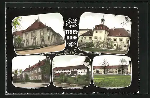 AK Triesdorf, Weisses Schloss, Ackerbauschule, Rotes Schloss, Molkereischule