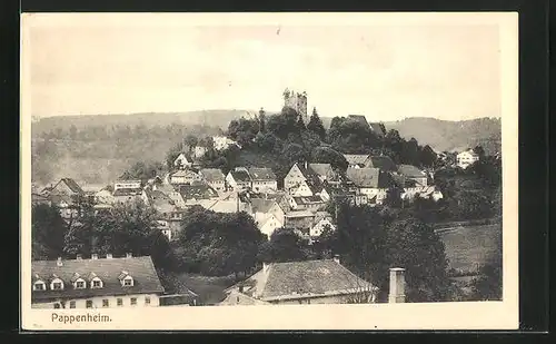 AK Pappenheim, Totale mit Burgruine