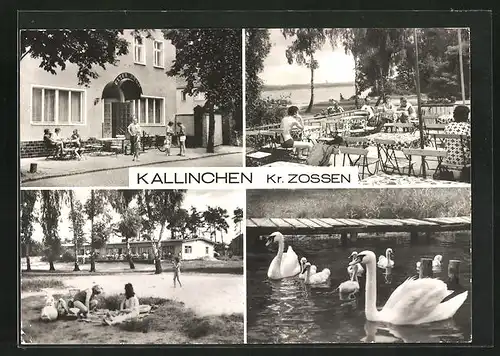 AK Kallinchen /Kr. Zossen, Gasthof Alter Krug, Seegaststätte, Blick zum See