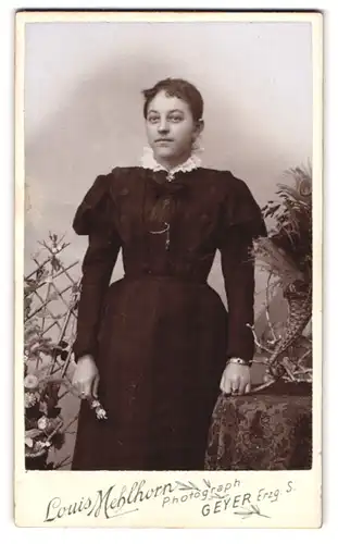 Fotografie Louis Mehlhorn, Geyer i. Erzg., Portrait junge Dame im Kleid