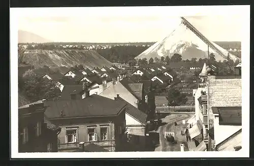 AK Trinec, Panorama, Ganzsache