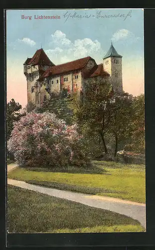 AK Maria Enzersdorf, Blick auf die Burg Lichtenstein
