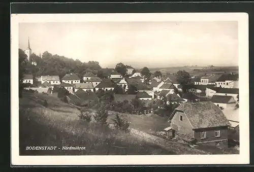 AK Bodenstadt, Totale der Ortschaft