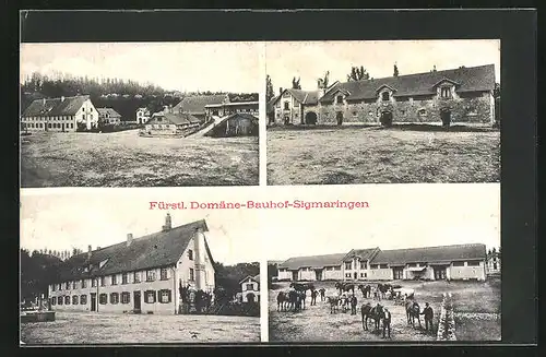 AK Sigmaringen, Fürstl. Domäne Bauhof