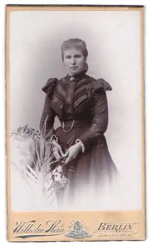 Fotografie Wilhlem Stein, Berlin-N., Chaussée-Strasse 66, Portrait junge Dame im modischen Kleid