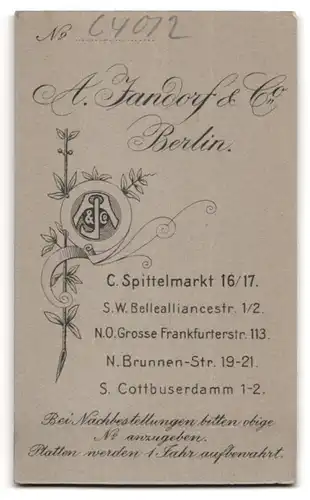 Fotografie A. Jandorf & Co., Berlin-C., Spittelmarkt 16-17, Portrait ältere Dame mit Hochsteckfrisur