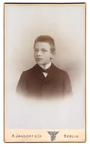 Fotografie A. Jandorf & Co., Berlin-NO, Grosse Frankfurterstrasse 113, Portrait junger Mann im Anzug mit Fliege