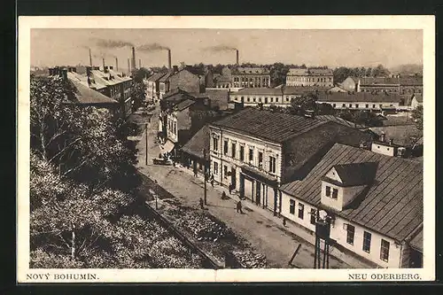 AK Novy Bohumin, Panorama