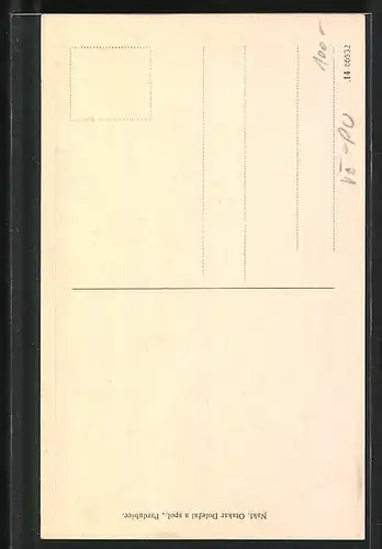 AK Pardubice, Relief na Zámecké bráne