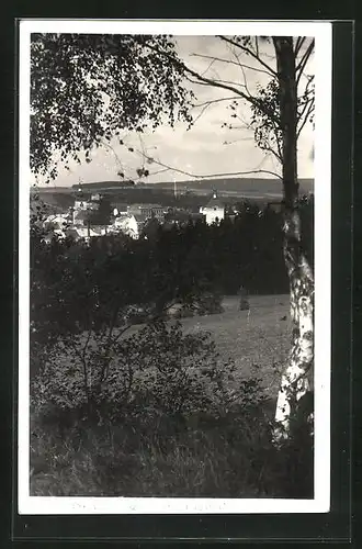 AK Kamenice n. Lipou, Fernblick auf den Ort