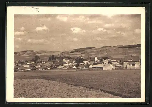 AK Novy Rychnov, Panoramablick auf Dorf und Umgebung