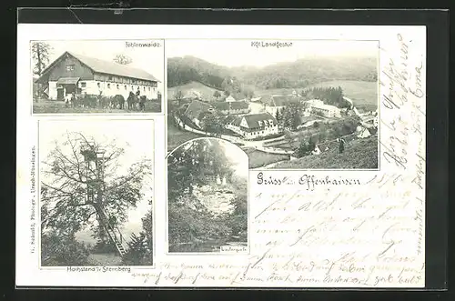 AK Offenhausen, Fohlenwaide, Kgl. Landgestüt, Hochstand a.d. Sternberg, Lauterquelle
