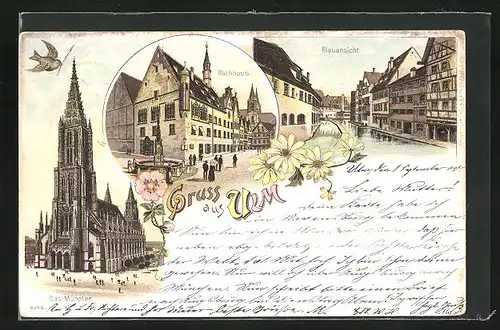 Lithographie Ulm, Das Münster, Rathaus, Blauansicht