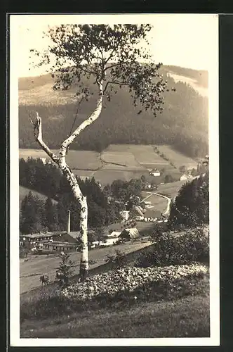 AK Zákouti, Orlické Hory, Ortsansicht aus der Vogelschau