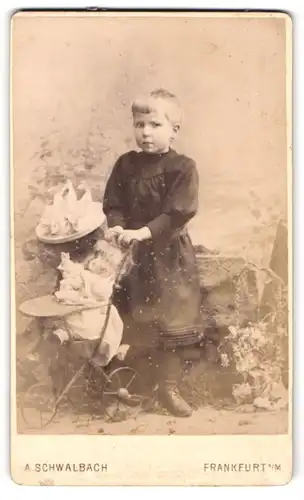 Fotografie A. Schwalbach, Frankfurt a /M., Zeil 46, Portrait kleines Mädchen im Kleid