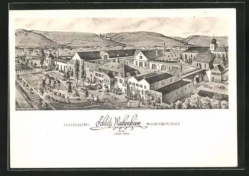 AK Wachenheim /Weinstrasse, Sektkellerei Schloss Wachenheim