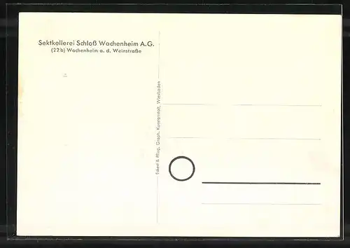 AK Wachenheim /Weinstrasse, Sektkellerei Schloss Wachenheim