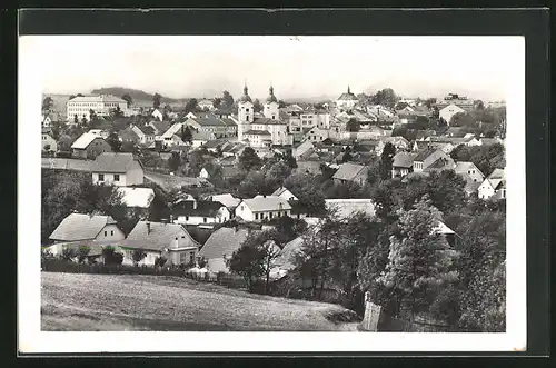 AK Bystrice n. Pernst, Panorama