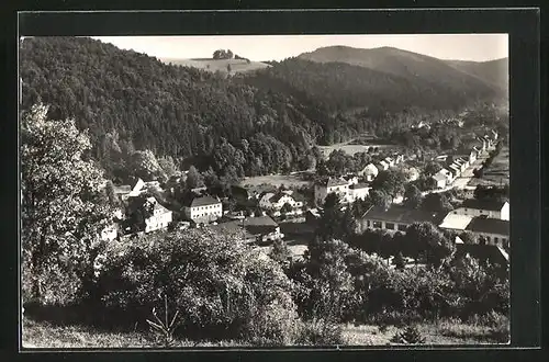 AK Hanusovice, Panorama