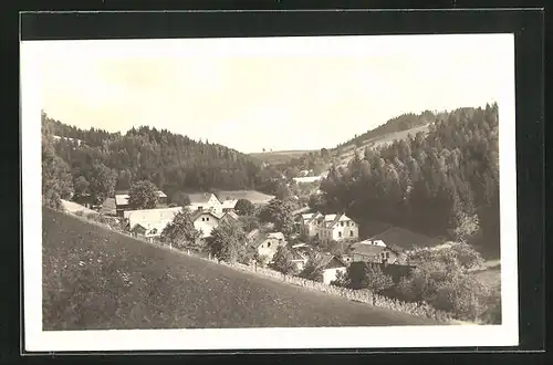 AK Hanusovice, Panorama