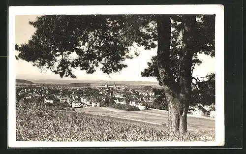 AK Sumperk, Panorama