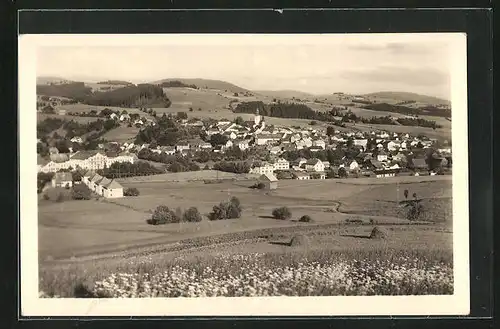 AK Stare Mesto pod Sneznikem, Panorama