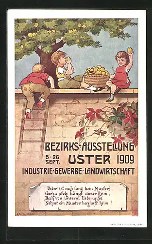 Künstler-AK Uster, Bezirks-Ausstellung, Industrie-Gewerbe-Landwirtschaft 1909