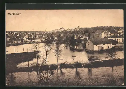 AK Mühlacker, Teilansicht bei Hochwasser