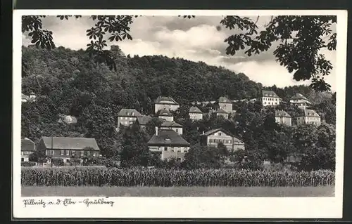 AK Dresden-Pillnitz, Häuser am Hausberg