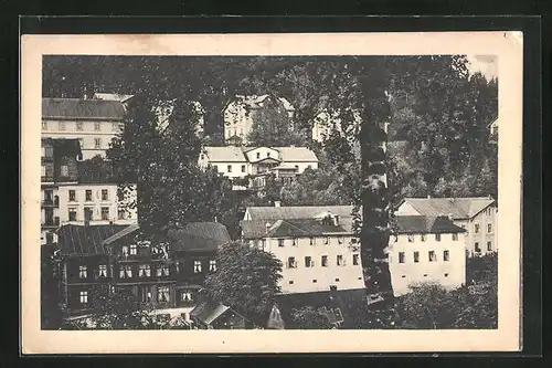 AK Johannisbad im Riesengebirge, Panorama