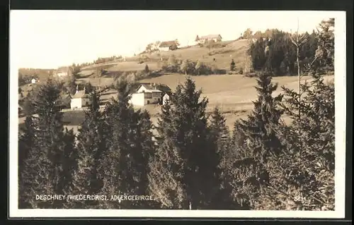 AK Deschney /Wiederdris /Adlergebirge, Panorama