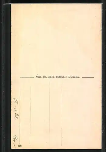 AK Dobruska, s. Belvederu, Blick zum Ort