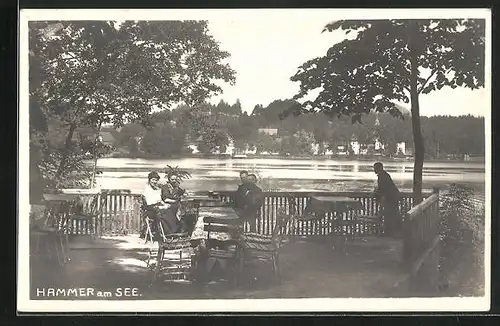 AK Hammer Am See / Hamr Na Jezere, Blick vom Gasthaus auf die andere Flussseite