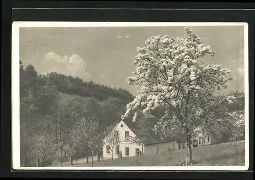 AK Cechy-Krkonose, Gastahsu v. Bubenik