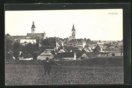 AK Pacov, Blick über Felder auf die Stadt