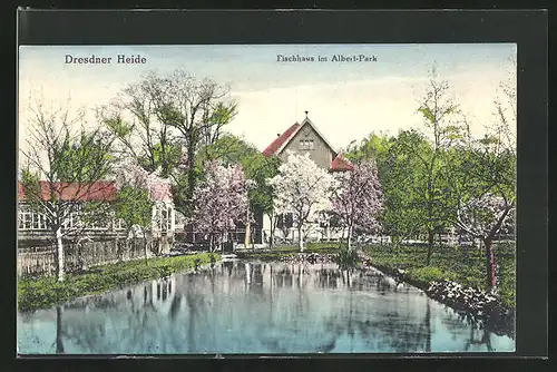 AK Dresden-Neustadt, Dresdner Heide, Gasthaus Fischhaus im Albert-Park