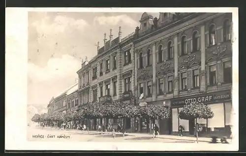 AK Horice, Cast Namesti