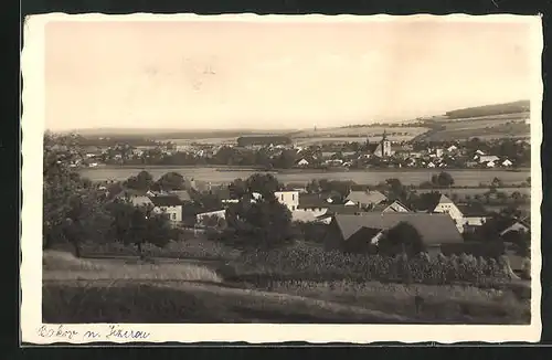 AK Bakov n. Jiz, Panorama